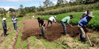 Campesinos hondureños proponen una ley para reactivar el sector agrícola