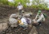 Hallan una tortuga con linaje del extinto Solitario Jorge: Emblema de las Galápagos