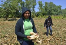 Las tierras agrícolas en Nicaragua no tienen rostro de mujer