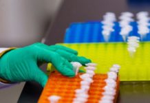 Células T editadas genéticamente sobreviven, son seguras y matan al cáncer