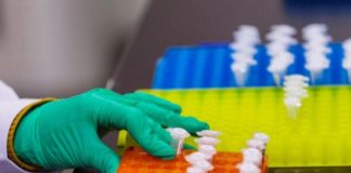 Publicado una especie de «facebook» de las proteínas humanas