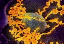 EEUU insta a la población a prepararse ante expansión inevitable del COVID-19