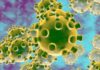 Impacto de Coronavirus se podría reflejar en bajas a combustible y productos en Honduras