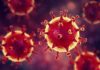 Coronavirus provoca 83.000 casos, 2.800 muertos en el mundo
