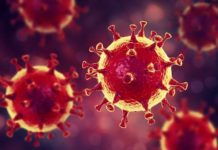 Coronavirus provoca 83.000 casos, 2.800 muertos en el mundo