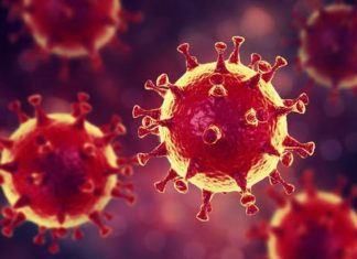 Coronavirus provoca 83.000 casos, 2.800 muertos en el mundo