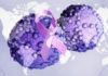 Enfocar más los esfuerzos ayudaría a reducir las muertes por cáncer