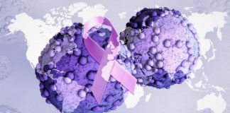 Enfocar más los esfuerzos ayudaría a reducir las muertes por cáncer