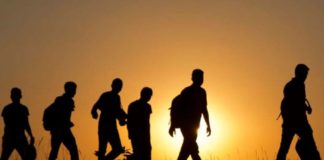 Disminuye en 62 % tránsito de migrantes por Honduras