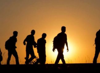 Disminuye en 62 % tránsito de migrantes por Honduras