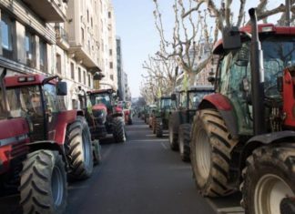 Los bajos precios agrarios, un fenómeno mundial con cierto margen de maniobra