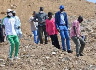 El COVID-19 se extiende a otros dos nuevos países de África, Togo y Camerún