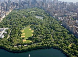 El Central Park de Nueva York albergará hospital de campaña para la COVID-19