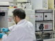 OMS sostiene que no se sabe si el invierno hace más agresivo al coronavirus