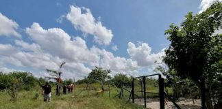 Hallan tres cadáveres en estado de descomposición en la zona norte