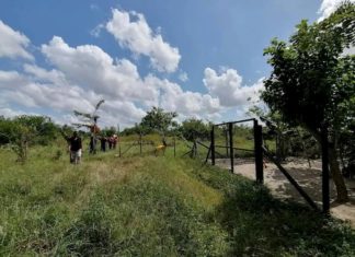 Hallan tres cadáveres en estado de descomposición en la zona norte