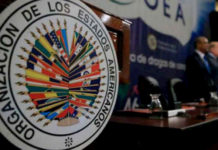 Migrantes hondureños denuncian a OEA que su derecho al voto está en peligro