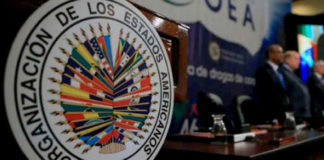 OEA pide a grupos armados colombianos cesar ataques en la crisis por COVID-19