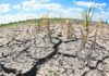 La ONU urge a no olvidar la crisis climática por el coronavirus