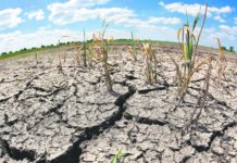 La ONU urge a no olvidar la crisis climática por el coronavirus