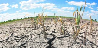 La ONU urge a no olvidar la crisis climática por el coronavirus