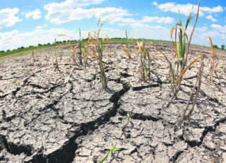 Expertos exponen en Honduras sobre el turismo y los efectos del cambio climático