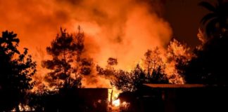 Incendios arrasan casi seis mil hectáreas de bosque en Guatemala