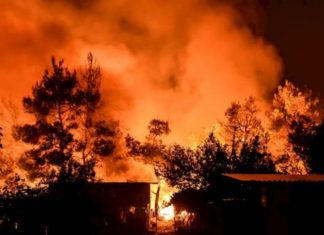 Más de 7.000 hectáreas de bosque destruidas en Honduras por 143 incendios
