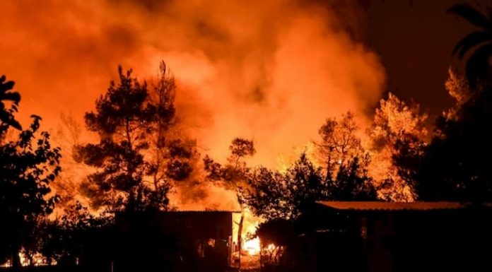 Incendios arrasan casi seis mil hectáreas de bosque en Guatemala