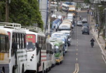 Transportistas obedecerán medidas interpuestas por el gobierno para evitar propagación de Covid-19