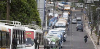 Transportistas obedecerán medidas interpuestas por el gobierno para evitar propagación de Covid-19