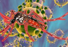 Coronavirus y dengue, dos epidemias que acechan a América