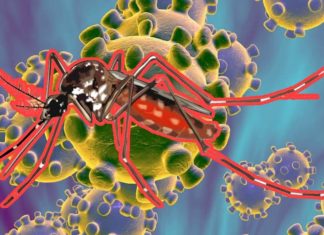 Coronavirus y dengue, dos epidemias que acechan a América