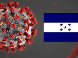 ¿Qué piensa los hondureños del Coronavirus? Según el estudio número 79 de la encuestadora paradigma y evaluación política.