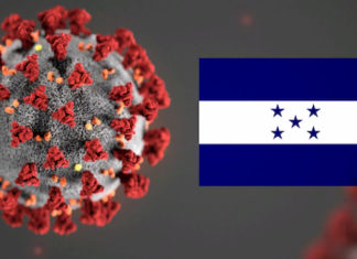 ¿Qué piensa los hondureños del Coronavirus? Según el estudio número 79 de la encuestadora paradigma y evaluación política.