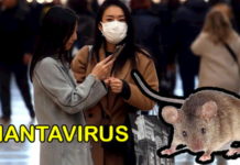 En investigación nueva enfermedad conocida como Hantavirus, la cual ya cobró su primera víctima