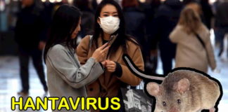 En investigación nueva enfermedad conocida como Hantavirus, la cual ya cobró su primera víctima