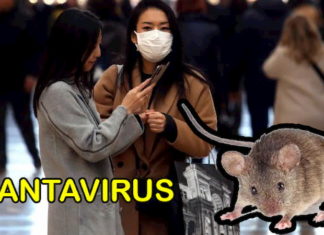 En investigación nueva enfermedad conocida como Hantavirus, la cual ya cobró su primera víctima