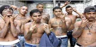 Pandillas amenazan a salvadoreños para respetar cuarentena