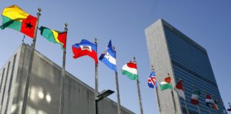 México pide en la ONU garantizar acceso a medicinas y pruebas contra COVID-19