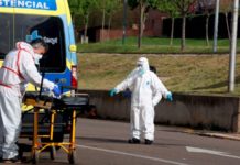 OMS: La ciencia no respalda un «pasaporte de inmunidad» contra el coronavirus