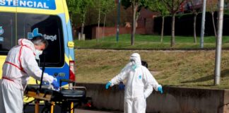 OMS: La ciencia no respalda un «pasaporte de inmunidad» contra el coronavirus