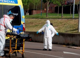 OMS: La ciencia no respalda un «pasaporte de inmunidad» contra el coronavirus