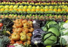 Nueva York anuncia un gran plan para distribuir comida en medio del COVID-19