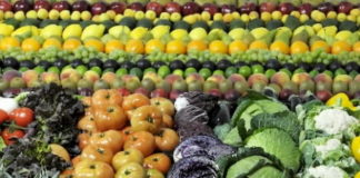 Nueva York anuncia un gran plan para distribuir comida en medio del COVID-19