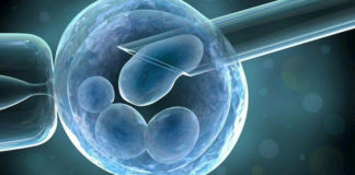 Brasil capta imágenes de momento exacto en que coronavirus infecta una célula