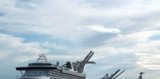 Familia de pasajero de crucero muerto de COVID-19 demanda a Princess