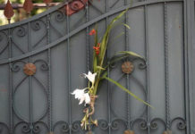 Con ramos en la sala y misas virtuales arranca la Semana Santa