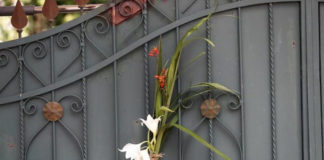 Con ramos en la sala y misas virtuales arranca la Semana Santa