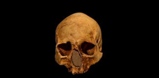 Las proteínas que pueden reescribir la evolución humana